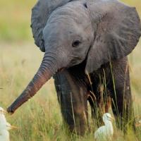 MENTORIA EM GRUPO LARANJA CARTAZ