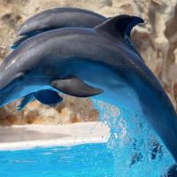 MENTORIA EM GRUPO LARANJA CARTAZ