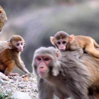 MENTORIA EM GRUPO LARANJA CARTAZ