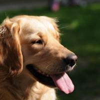 MENTORIA EM GRUPO LARANJA CARTAZ