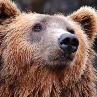 MENTORIA EM GRUPO LARANJA CARTAZ