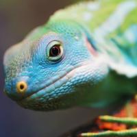 MENTORIA EM GRUPO LARANJA CARTAZ